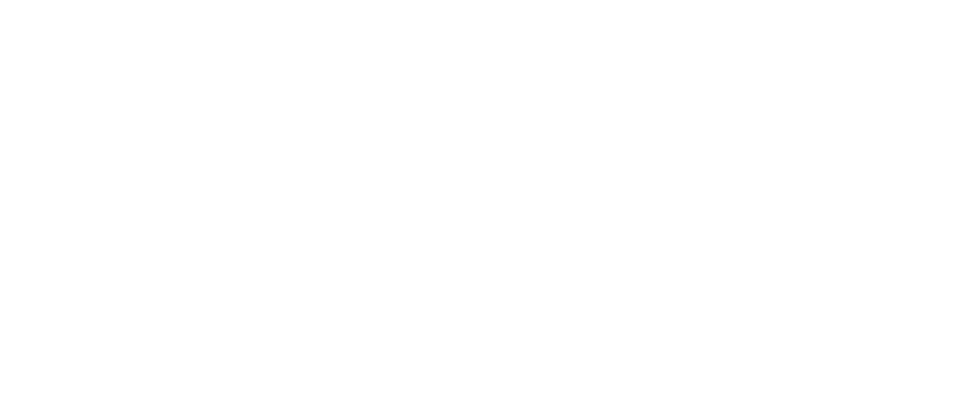 logo_bra_tra_2